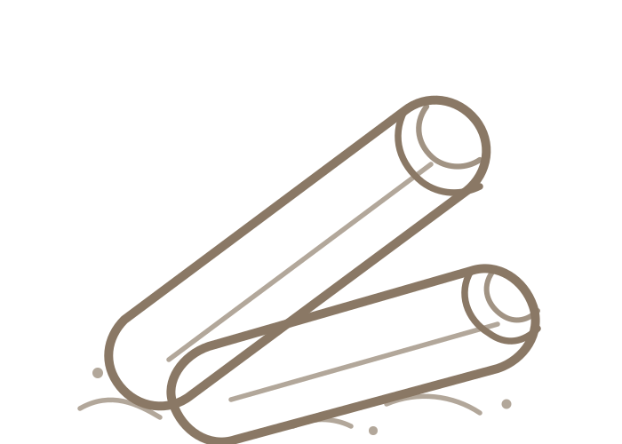 Cinnamon sticks